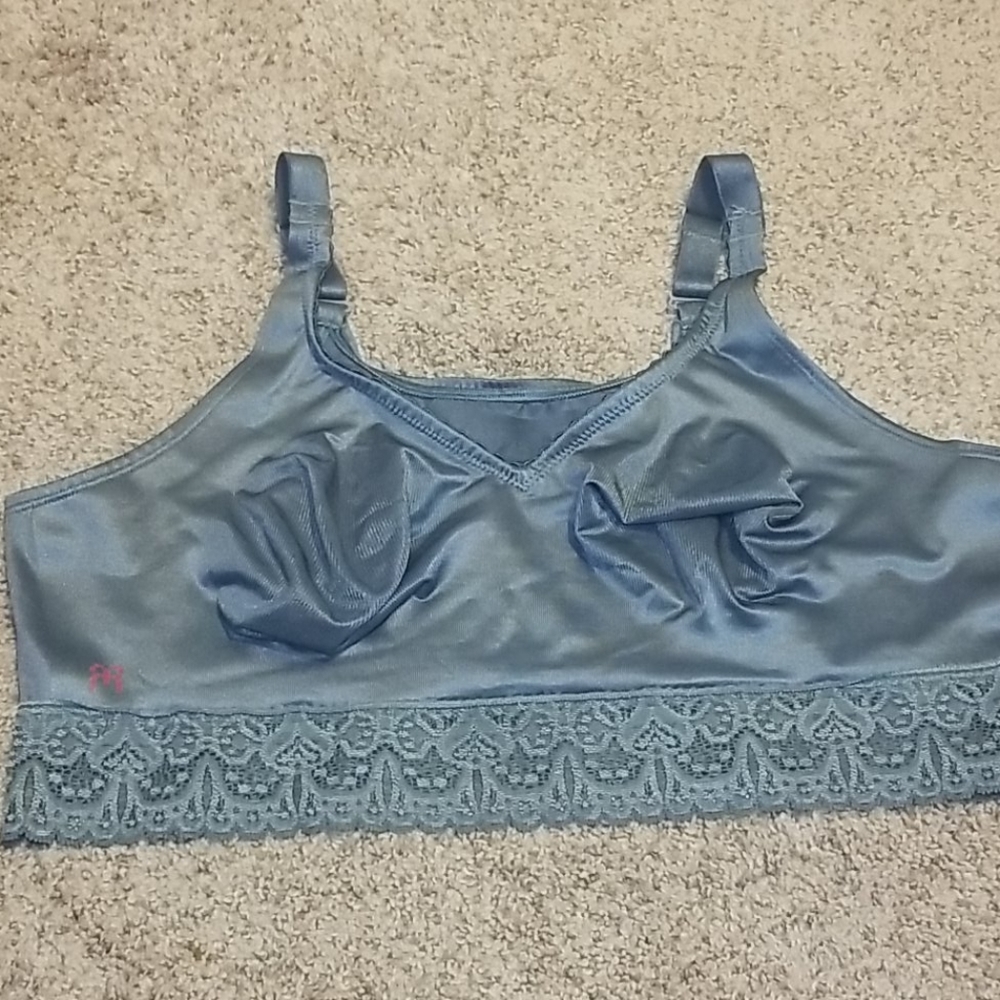 Ruby Ribbon Lace Demi